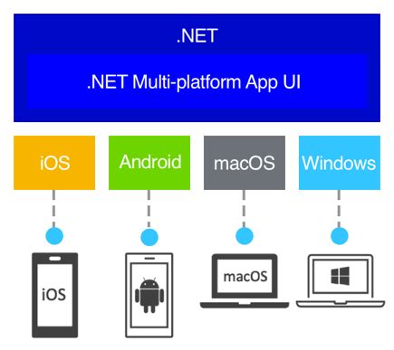 net 6|.NET Downloads (Linux, macOS, and Windows).